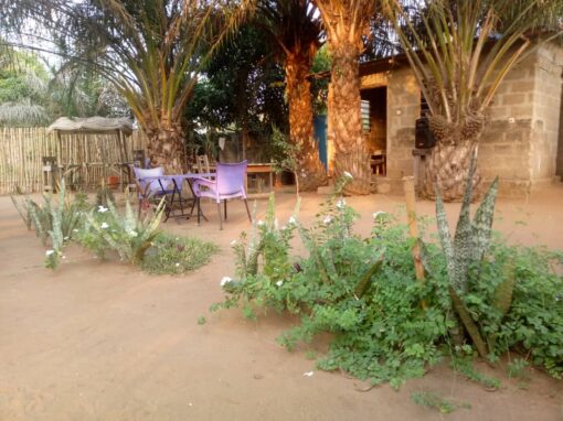 La cour La cour