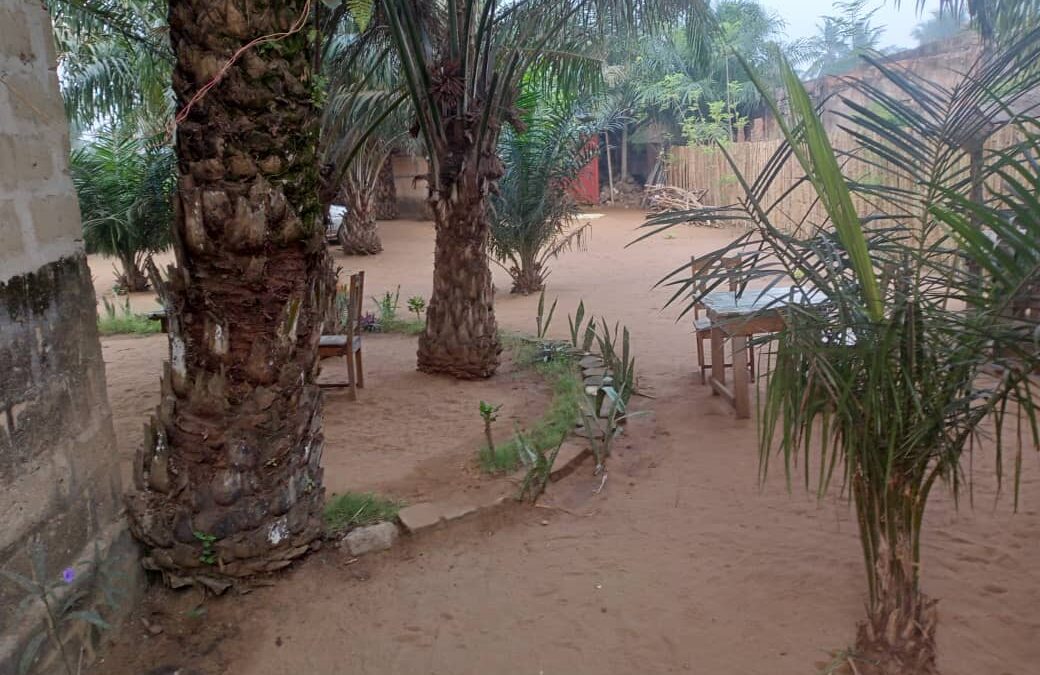 Le jardin tranquille