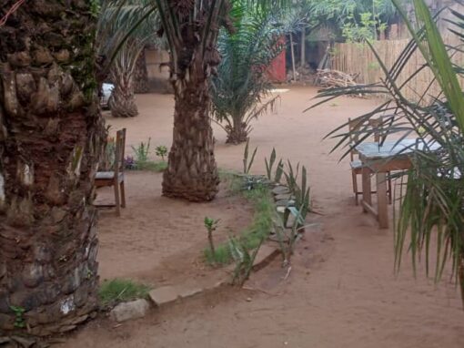 Le jardin tranquille Le jardin tranquille